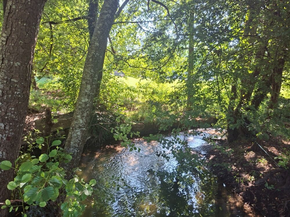 Vente Propriété/Château Domaine golfique en Périgord (24) Siorac en perigord