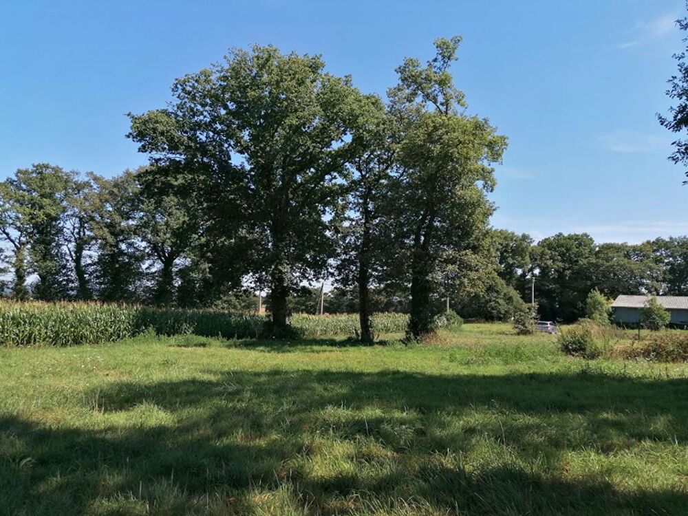 Vente Terrain Terrain Loyat 2000 m2 Loyat