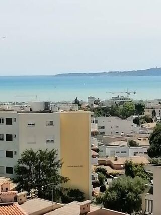  Appartement à louer 1 pièce 28 m²