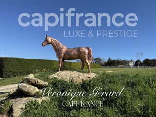  Propri�t�/ch�teau � vendre 8 pi�ces 310 m�