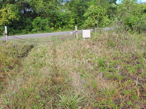 Dpt Guyane (973), à vendre MONTSINERY TONNEGRANDE terrain - Terrain de 10 040,00 m² 663830 Montsinry-Tonnegrande (97356)