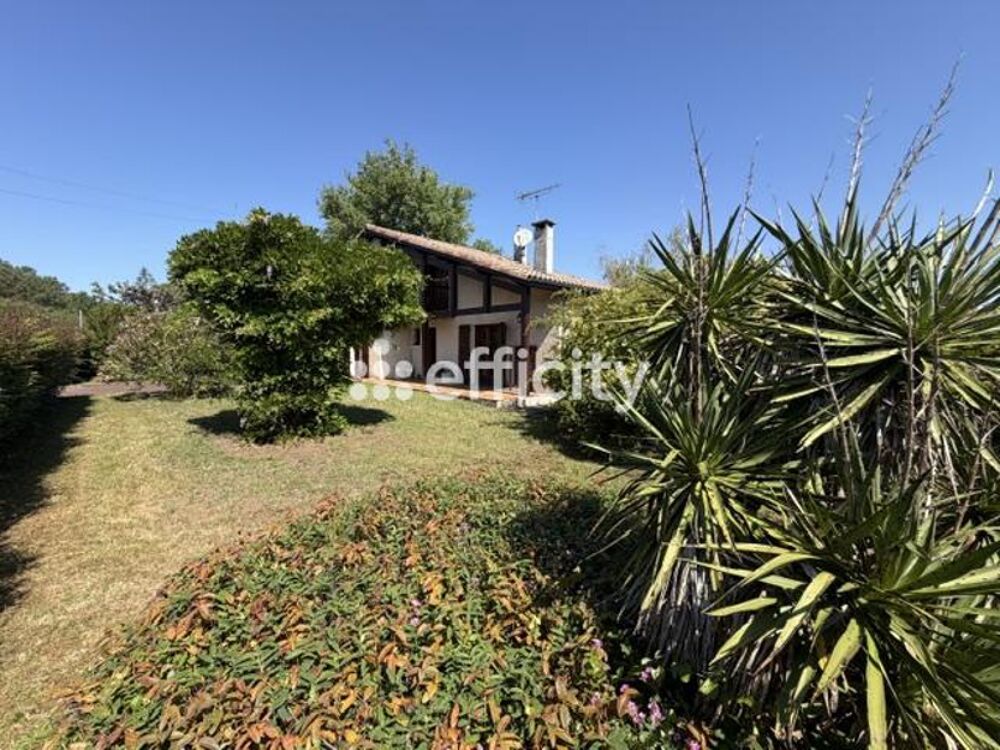 Vente Maison Maison Martignas sur jalle