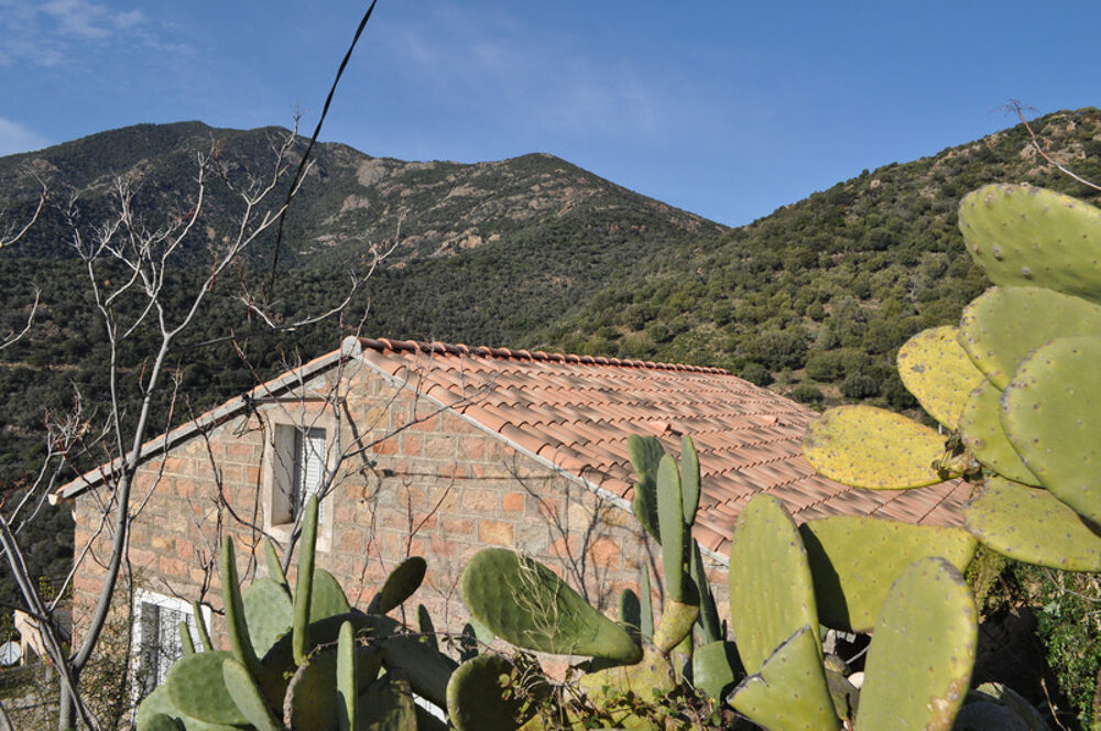Vente Maison Dpt Corse (20), à vendre PARTINELLO, maison en pierres avec terrasse et parking, proche de la plage Porto