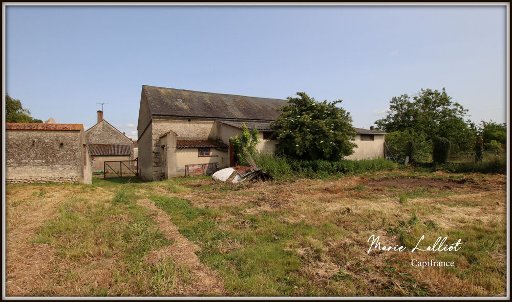 Corps de Ferme à vendre 9 pièces LA NEUVILLE SUR ESSONNE (45), Grange, Terrain Clos