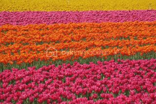  Terrain  vendre 442 m