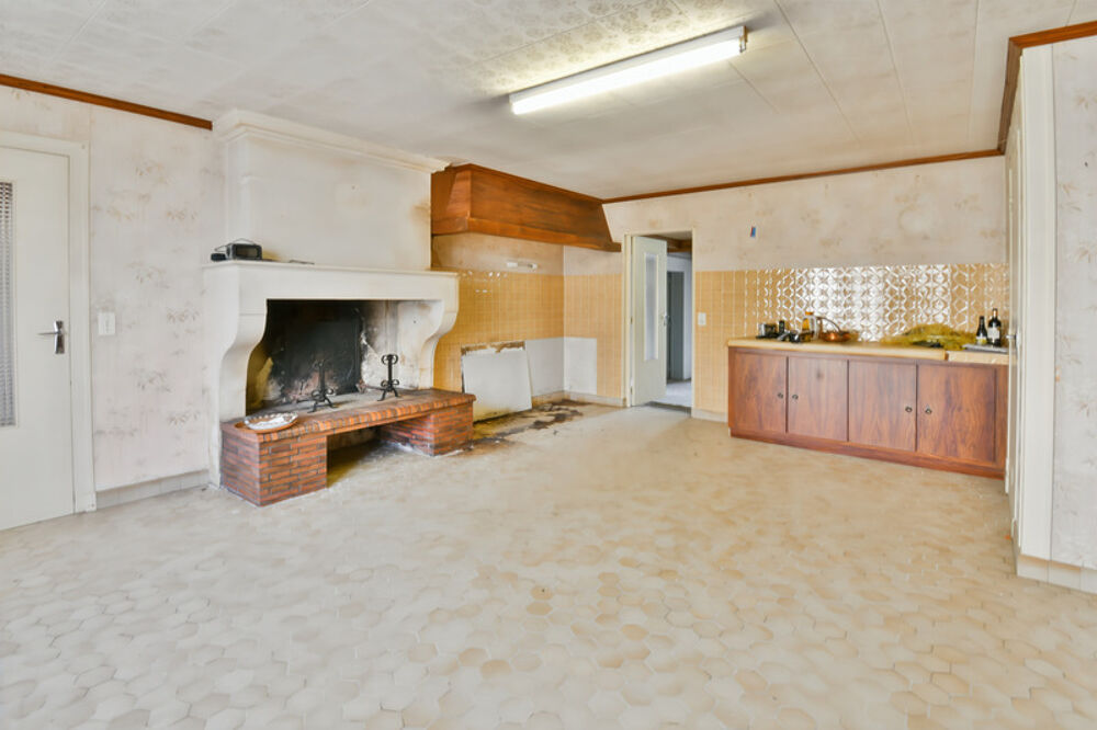 Maison à vendre 12 pièces BRIZAMBOURG (17)- Ensemble immobilier- 2 maisons, jardin- garage