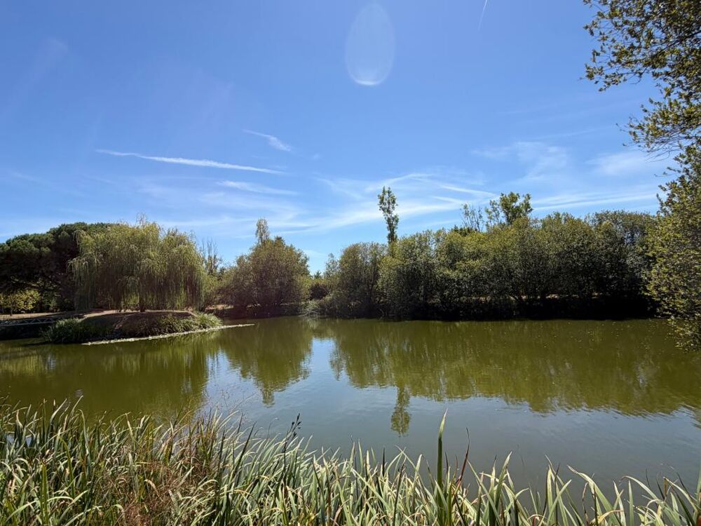 Vente Maison SOULLANS 85300 - DOMAINE PRIVE DE 3,2 HECTARES CLOS - PROPRIETE D'EXCEPTION AVEC GRANGES ET PRESQU'ILE Soullans