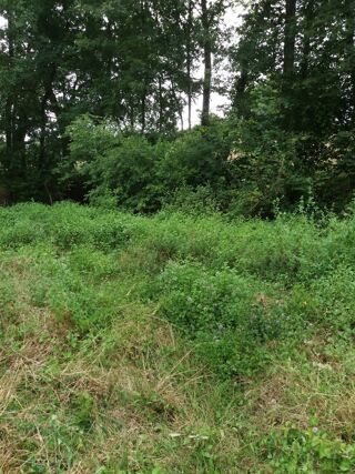  Terrain à vendre 15070 m²