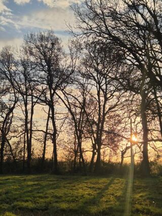  Terrain � vendre 3454 m�