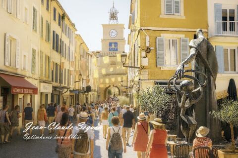 SALON-DE-PROVENCE - Centre historique pi&eacute;ton 44000 13300 Salon de provence