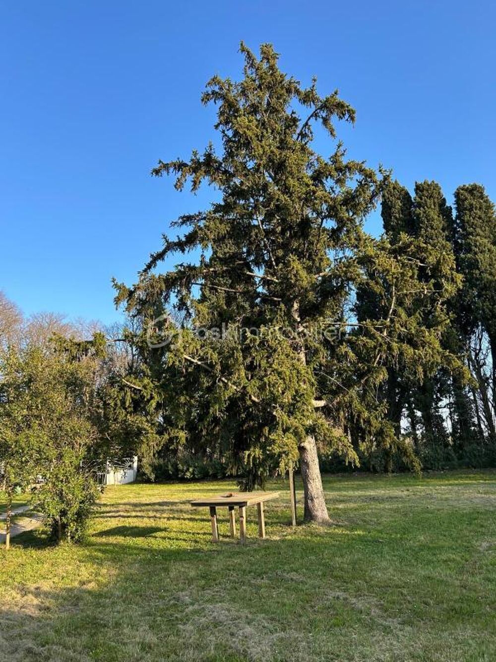 à vendre  Propriété/château Grans (13450)