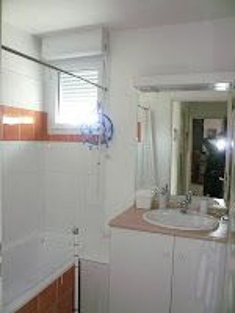  Appartement � louer 2 pi�ces 50 m�