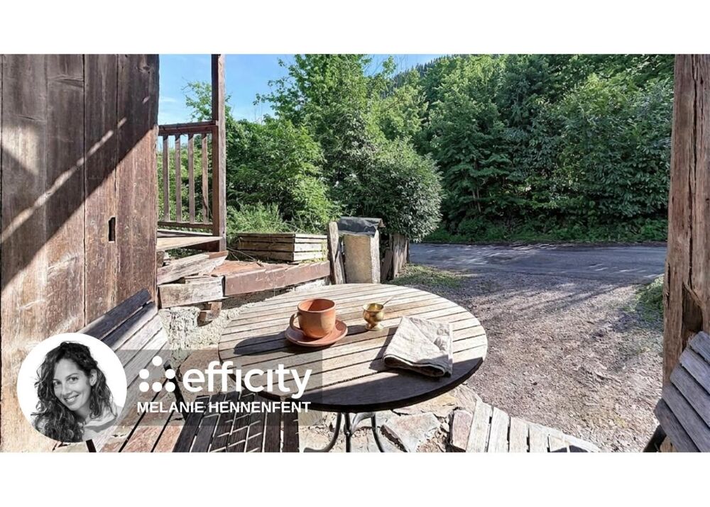 Vente Ferme Ferme Mont saxonnex