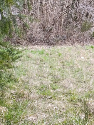  Terrain � vendre 1467 m�