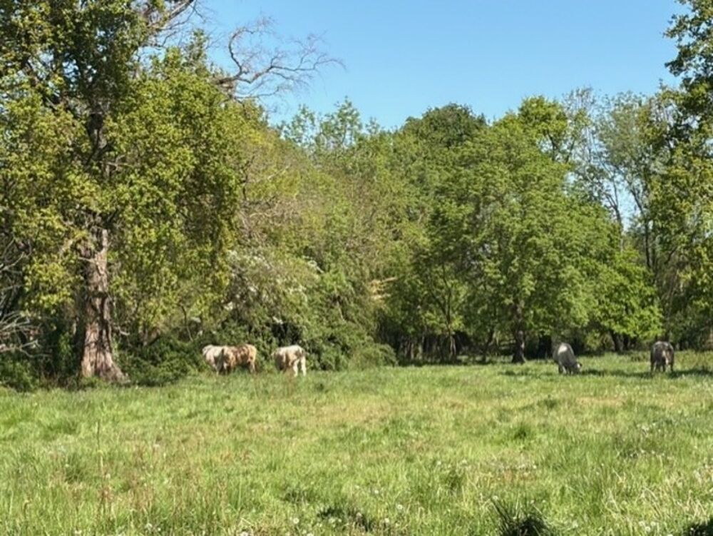 PLAISANCE (32) proche : MAISON TRADITIONNELLE 1960, dépendances, terrain clos avec jardin de 1.000m2 environ au calme, vue campa