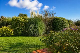  Maison à vendre 8 pièces 202 m²