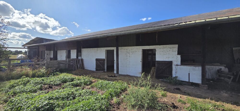 Vente Remise/Grange ENSEMBLE IMMOBILIER À FORT POTENTIEL – HANGAR AGRICOLE, STOCKAGE, BOXES À CHEVAUX ET MAISON – ENVIRON 5 000 m² DE TERRAIN Amiens