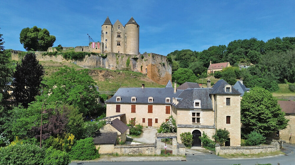 Demeure de prestige Salignac Eyvignes 9 pièce(s) 275 m2