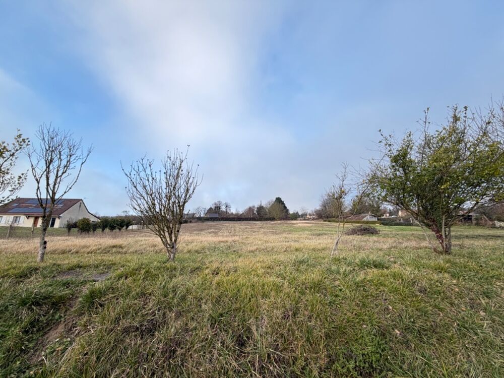 Vente Terrain Terrain de 7 238 m� � Aubign�-Racan (72800) Aubigne racan