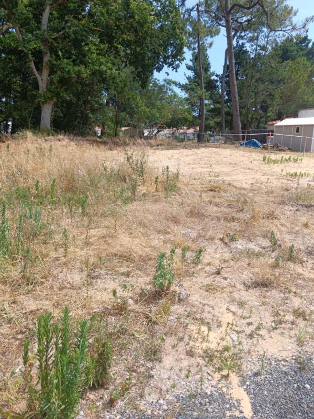 Vente Terrain Terrain à bâtir de 601 m2 - Orouët -Saint-Jean de Monts - 102820  TTC Saint jean de monts