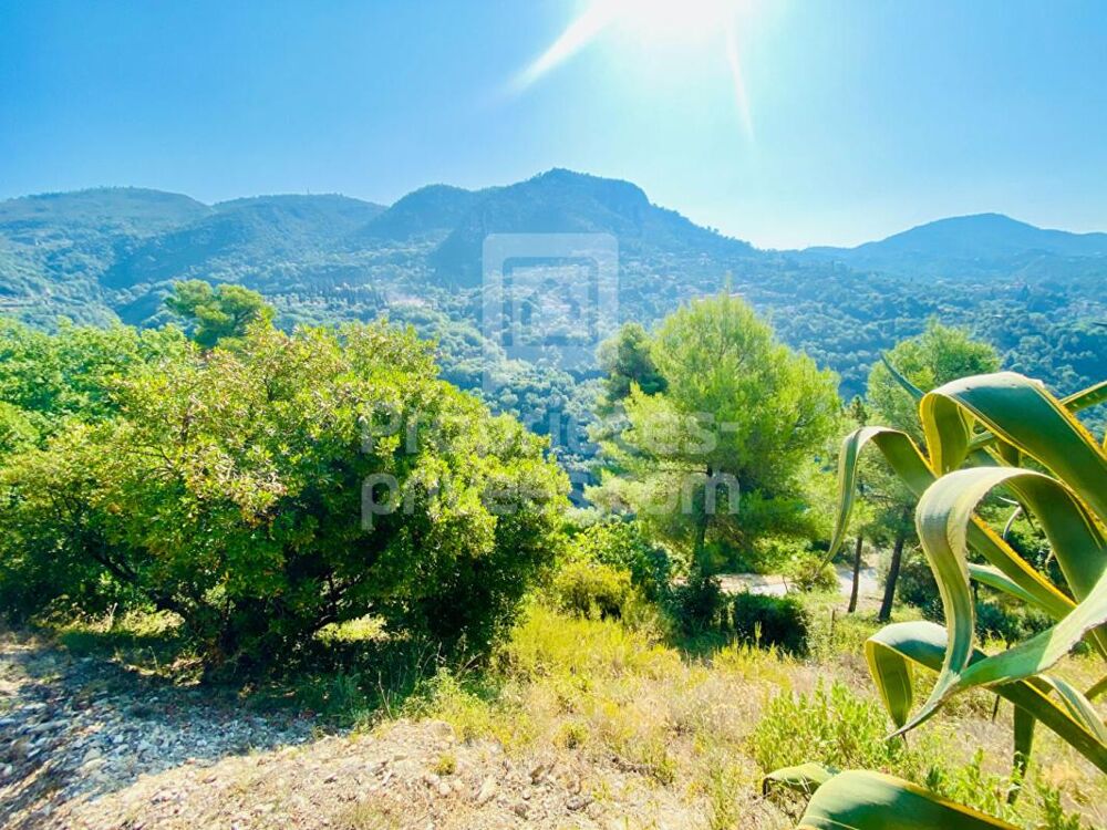 Vente Terrain Terrain Castagniers 1400 m2 Castagniers