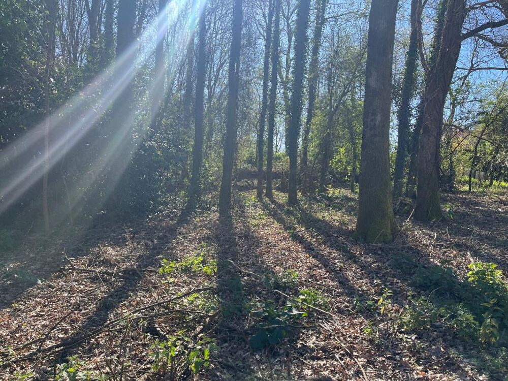 Vente Terrain Terrain Saint georges de pointindoux