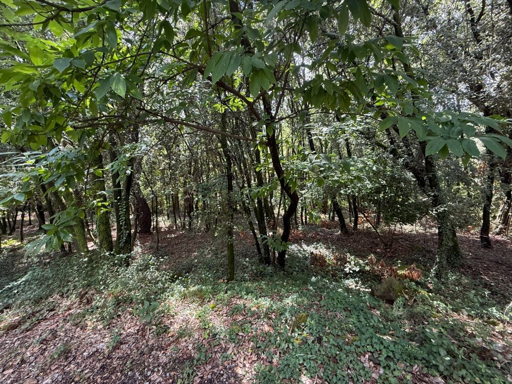 Vente Terrain Terrain à bâtir à vendre 1032 m2  CENDRAS (30480) Cendras