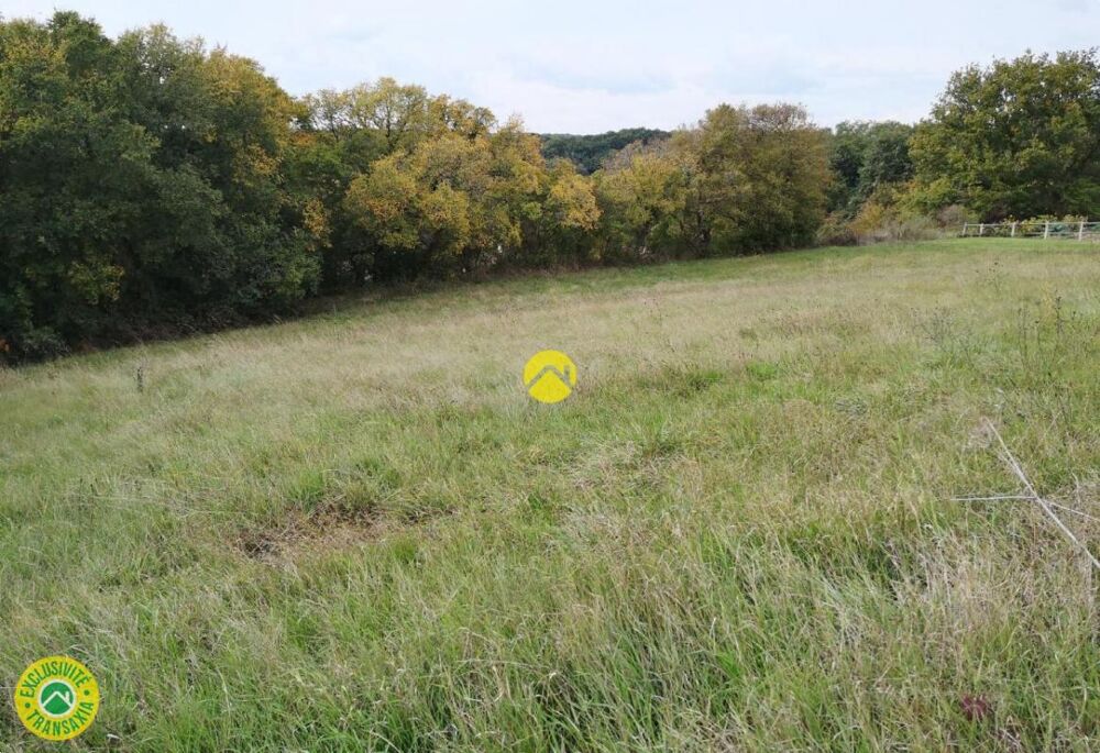 Vente Terrain TERRAIN A BATIR Rogny les sept elcuses