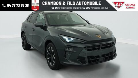 Annonce voiture Cupra Terramar 41123 