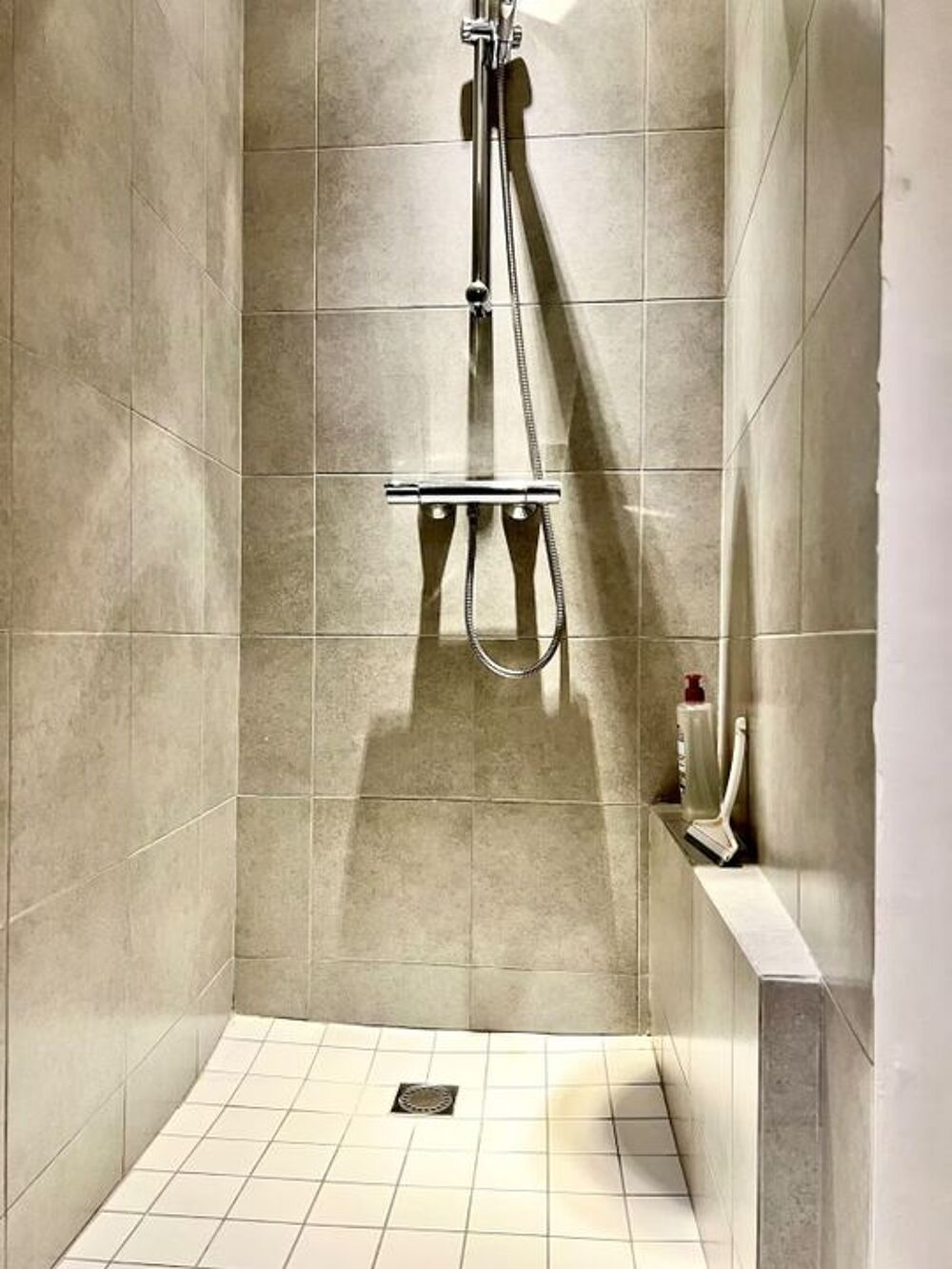 Location Appartement Appartement de 57m2 à louer sur Grenoble Grenoble