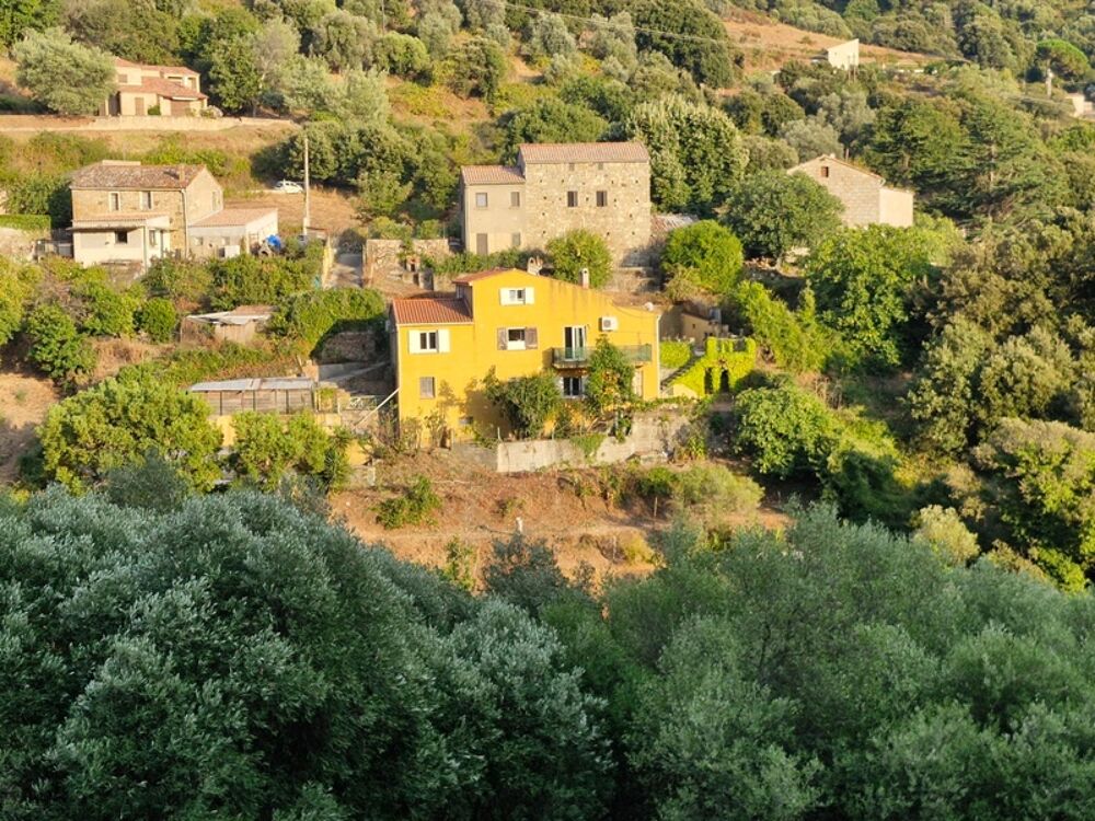 Propriano-Corse du Sud Maison 9 pièces de 170 m2