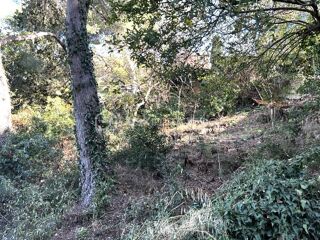  Terrain � vendre 1468 m�