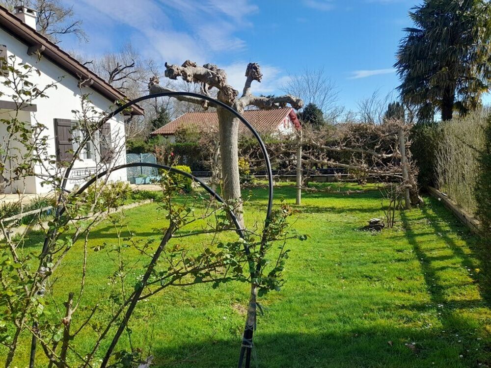 Maison à vendre 6 pièces SARE (64)