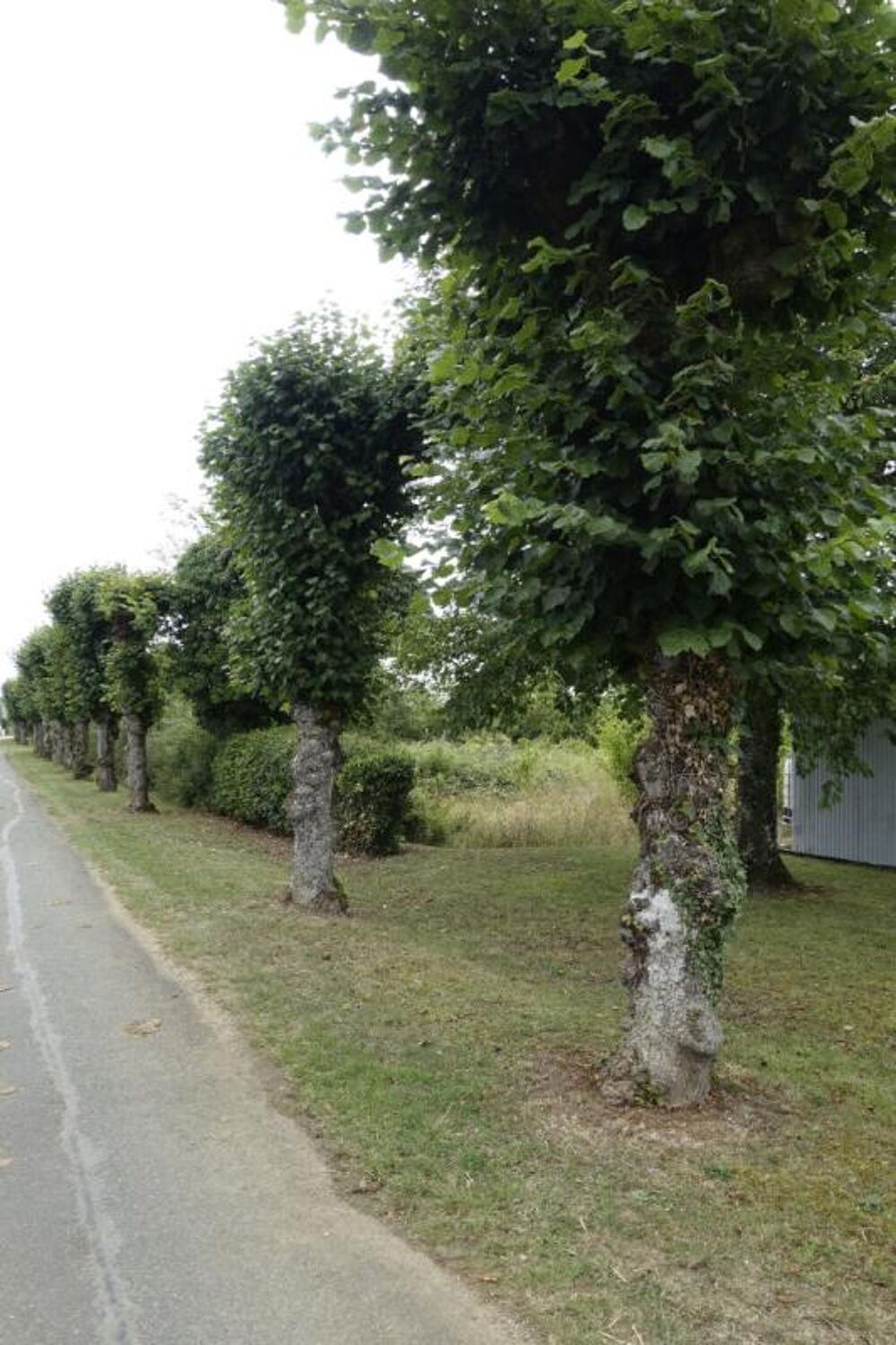 Vente Terrain TERRAIN A BATIR 7035m2 à Etrechy (18) Etrechy