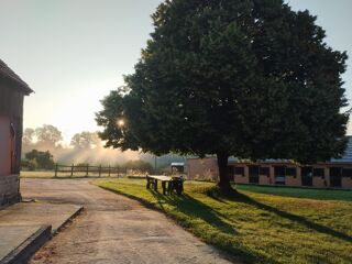  Propri�t�/ch�teau � vendre 5 pi�ces 136 m�