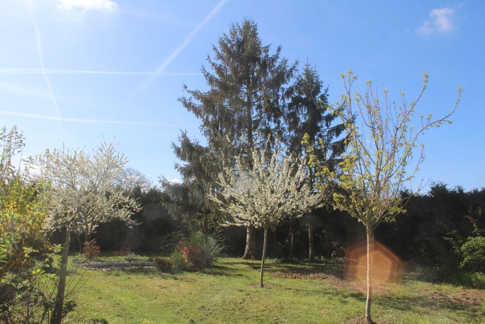 Location Maison Maison de 100m2 à louer sur Chenoise Chenoise