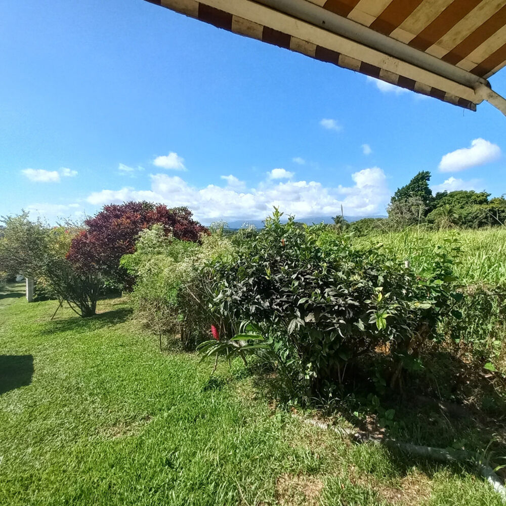 Vente Maison Propri�t� maison et bungalow � vendre sur 5436m� � PETIT-BOURG GUADELOUPE (971) Petit bourg