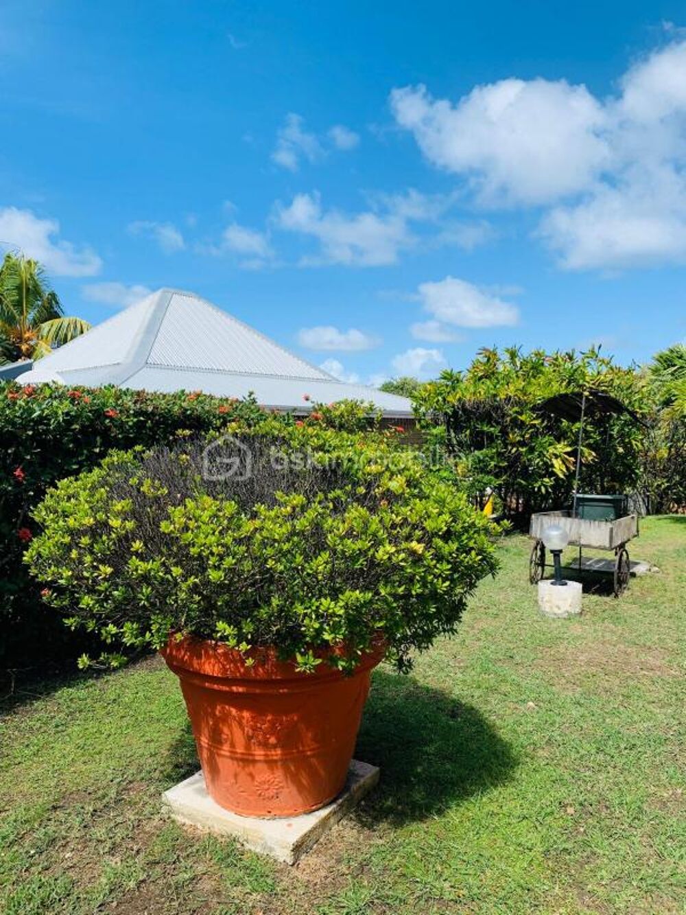 � vendre  Propri�t�/ch�teau Le Moule (97160)