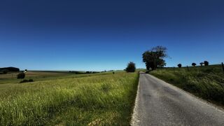  Terrain à vendre 6310 m²