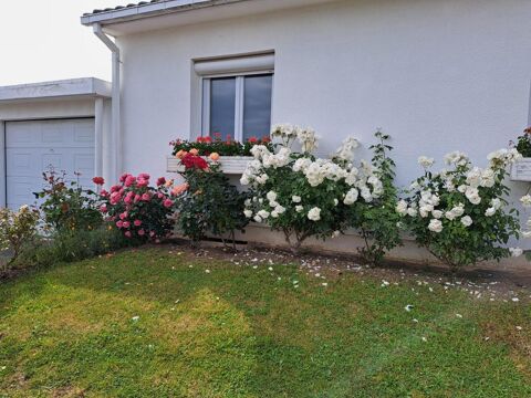  Maison � louer 5 pi�ces 97 m�