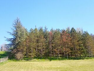  Terrain � vendre 4000 m�