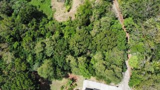  Terrain  vendre 1981 m