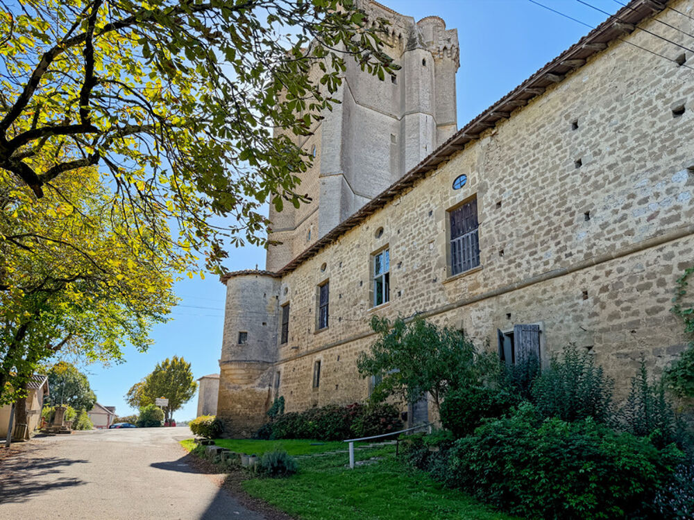 Dpt Gers (32), à vendre BASSOUES, partie du château, 174 m2 avec jardin 5000 m2 et piscine