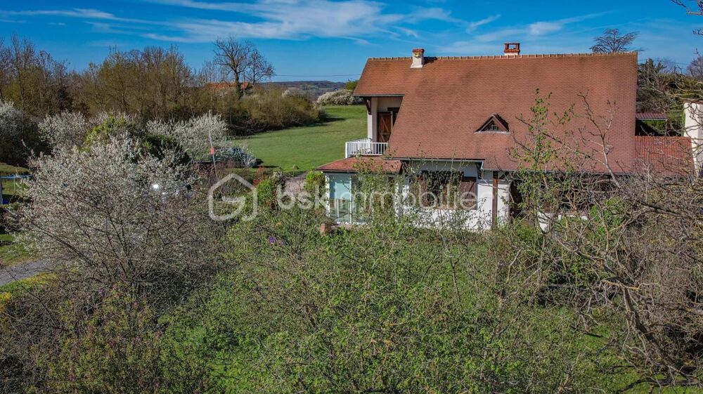 Maison traditionnelle spacieuse au cadre verdoyant proche du coeur de ville de VARENNES-VAUZELLES