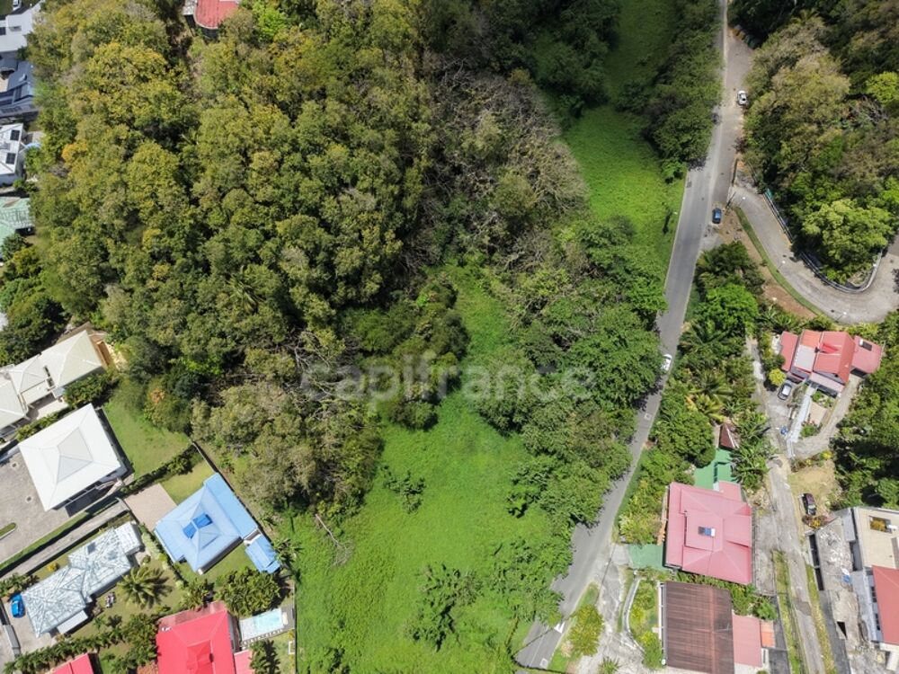 Vente Terrain Terrain à vendre de 3000  LES ABYMES (971) Les abymes