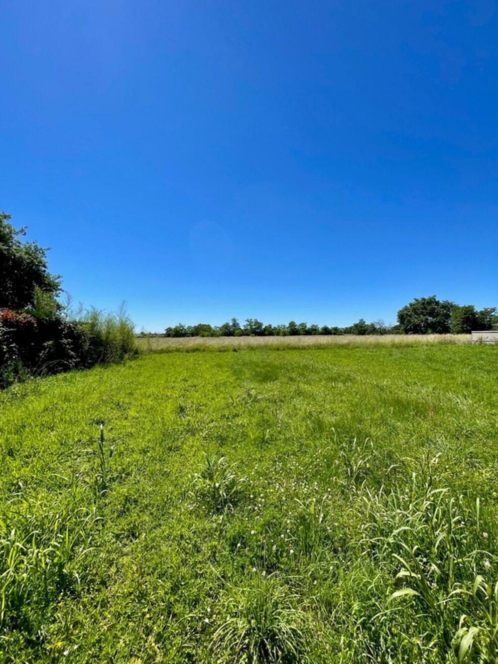 Vente Terrain Terrain plat viabilisé 914 m² – Accès rapide Toulouse/Montauban-Bressols (82370) Bressols