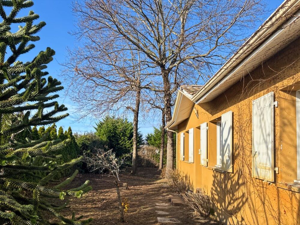 Pavillon