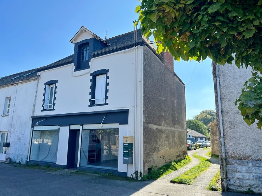 Vente Immeuble Idéal Investisseurs - Rentabilité 8% Plesse
