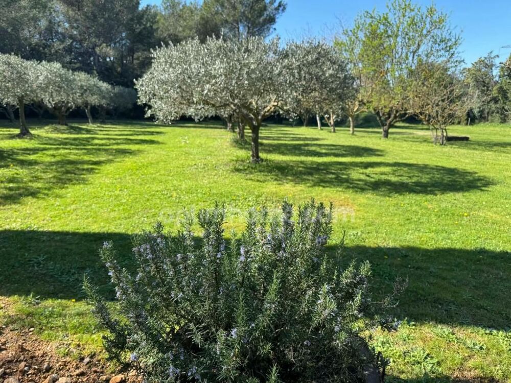 Maison Provençale au coeur des Alpilles