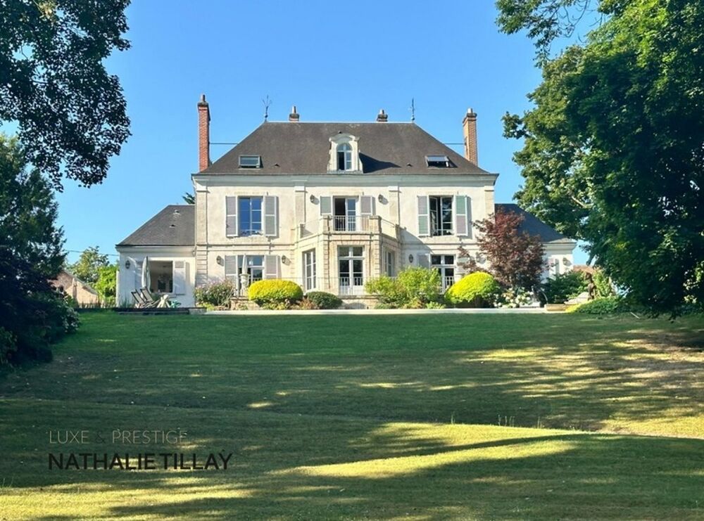 à vendre  Propriété/château Orléans (45000)